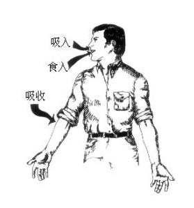 【職業衛生科普】有害毒物進入體內的三大途徑